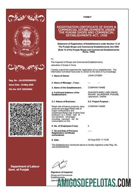 Certificado de registro de Punjab da Índia para download, modelo Word e PDF